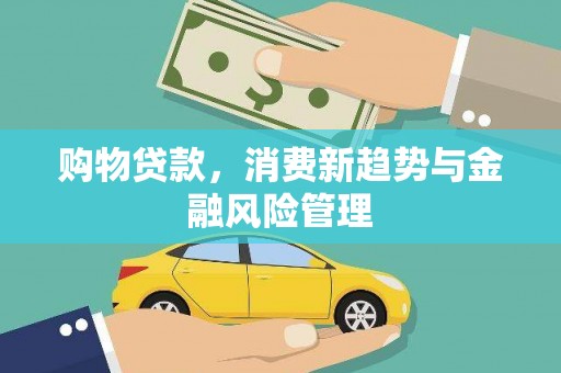 武鸣购物贷款，消费新趋势与金融风险管理
