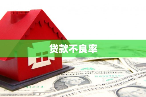 汝阳贷款不良率