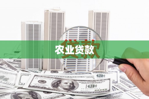 双桥农业贷款