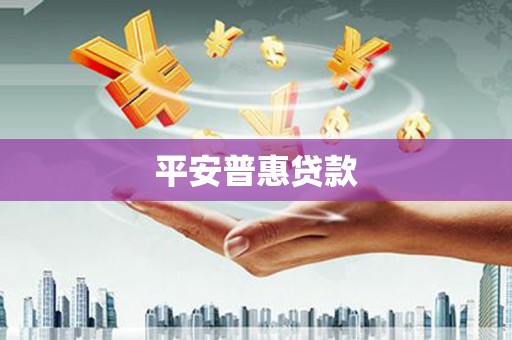 甘谷平安普惠贷款