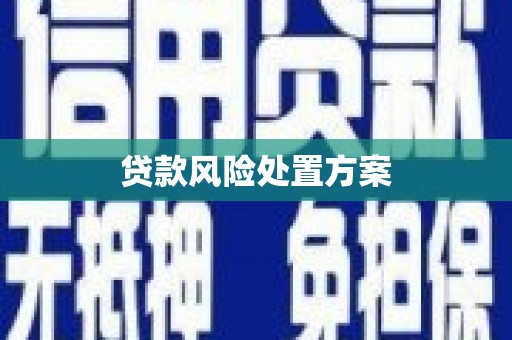 石龙贷款风险处置方案