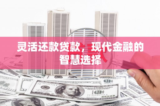 罗定灵活还款贷款，现代金融的智慧选择