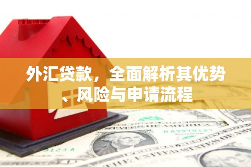 户县外汇贷款，全面解析其优势、风险与申请流程