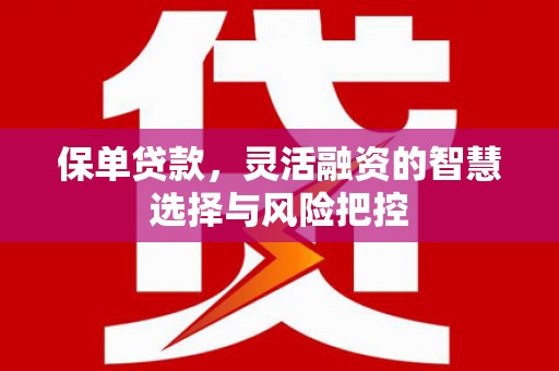 伽师保单贷款，灵活融资的智慧选择与风险把控
