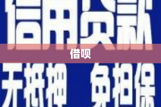 巩留借呗