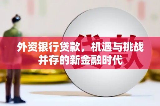 淄博外资银行贷款，机遇与挑战并存的新金融时代