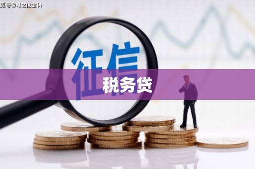 海港税务贷