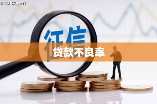 馆陶贷款不良率