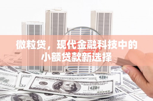 夏邑微粒贷，现代金融科技中的小额贷款新选择