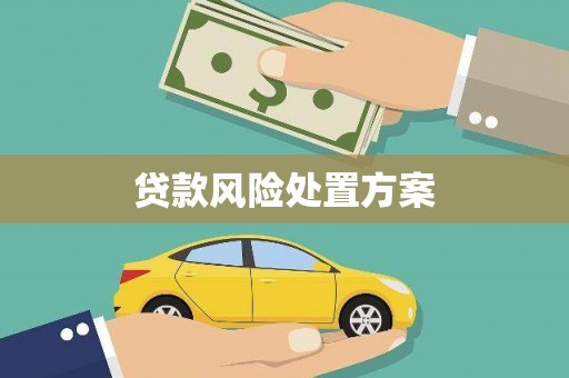 嘉禾贷款风险处置方案