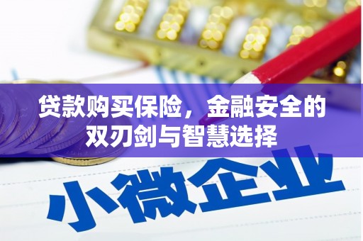 泗阳贷款购买保险，金融安全的双刃剑与智慧选择