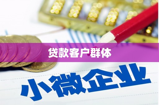 赫山贷款客户群体