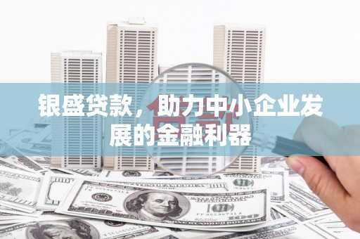 镇远银盛贷款，助力中小企业发展的金融利器