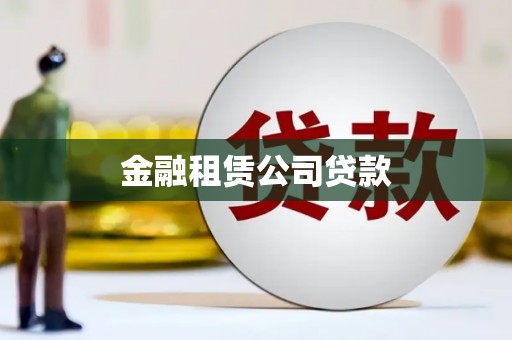赫山金融租赁公司贷款
