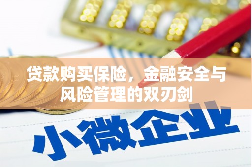 罗定贷款购买保险，金融安全与风险管理的双刃剑