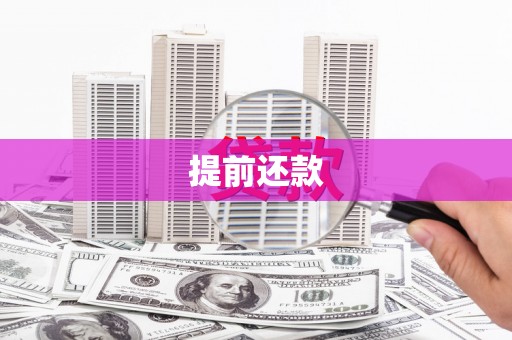 冕宁提前还款
