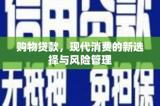 西和购物贷款，现代消费的新选择与风险管理