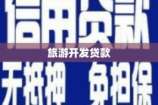 田家庵旅游开发贷款