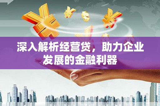 连山深入解析经营贷，助力企业发展的金融利器