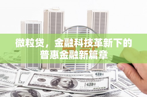 潍城微粒贷，金融科技革新下的普惠金融新篇章