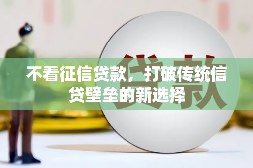 长岭不看征信贷款，打破传统信贷壁垒的新选择