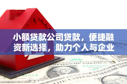 布拖小额贷款公司贷款，便捷融资新选择，助力个人与企业成长