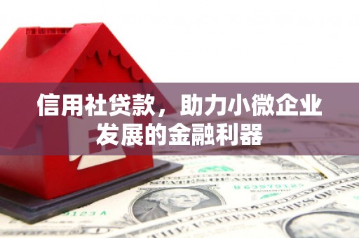 友谊信用社贷款，助力小微企业发展的金融利器