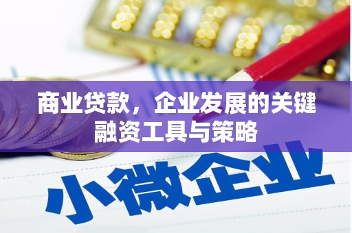 剑阁商业贷款，企业发展的关键融资工具与策略
