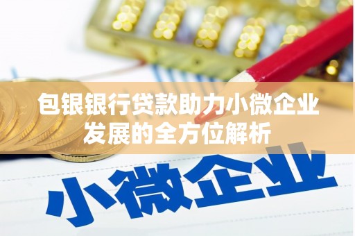 勐腊包银银行贷款助力小微企业发展的全方位解析