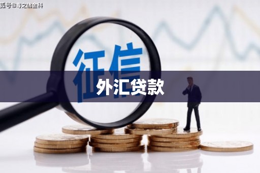 中西外汇贷款