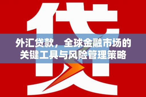 疏勒外汇贷款，全球金融市场的关键工具与风险管理策略