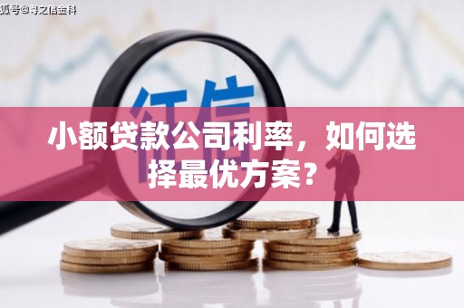 左镇小额贷款公司利率，如何选择最优方案？