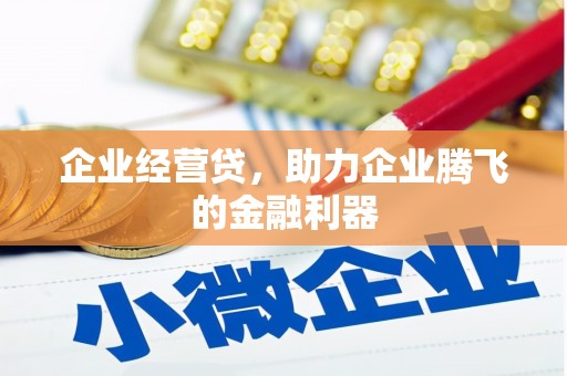 新蔡企业经营贷，助力企业腾飞的金融利器