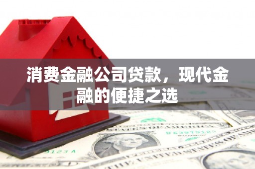 友谊消费金融公司贷款，现代金融的便捷之选