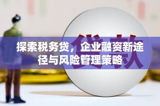 黔东南探索税务贷，企业融资新途径与风险管理策略