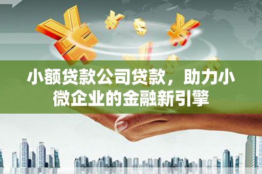 林周小额贷款公司贷款，助力小微企业的金融新引擎