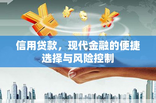 渭城信用贷款，现代金融的便捷选择与风险控制
