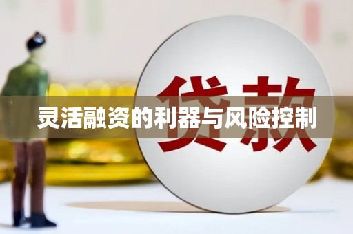 高坪灵活融资的利器与风险控制