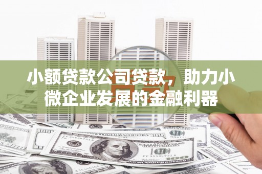 霍林郭勒小额贷款公司贷款，助力小微企业发展的金融利器