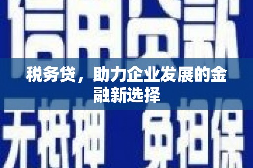 岳塘税务贷，助力企业发展的金融新选择