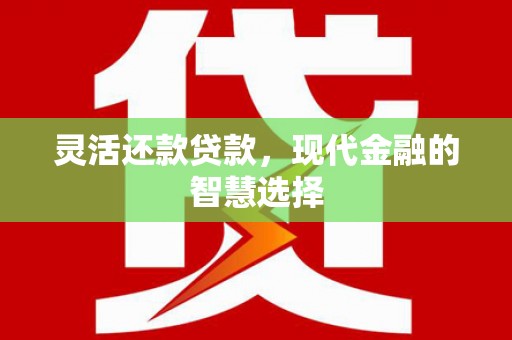 林甸灵活还款贷款，现代金融的智慧选择