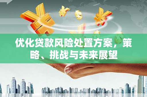 湖里优化贷款风险处置方案，策略、挑战与未来展望