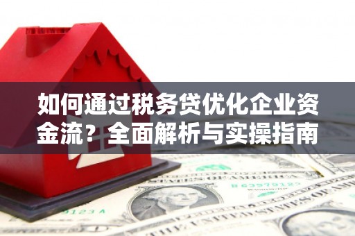 阿巴嘎旗如何通过税务贷优化企业资金流？全面解析与实操指南