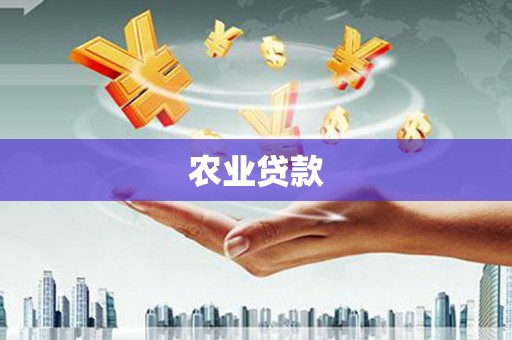 嘉禾农业贷款