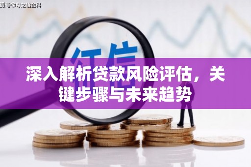 绥滨深入解析贷款风险评估，关键步骤与未来趋势