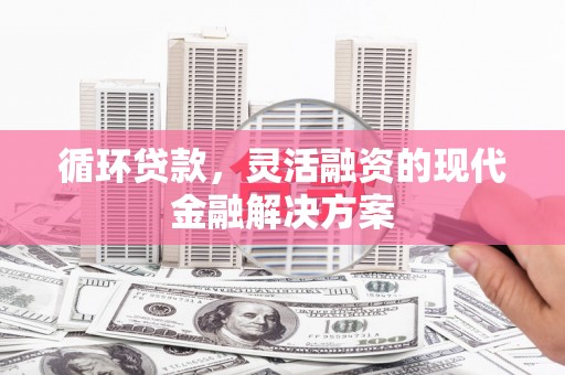 临渭循环贷款，灵活融资的现代金融解决方案