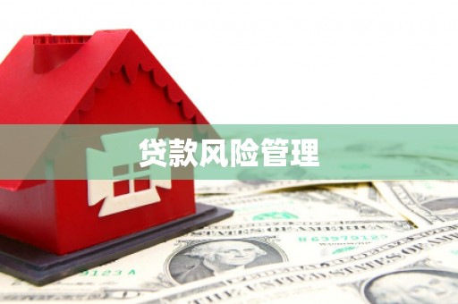 团风贷款风险管理