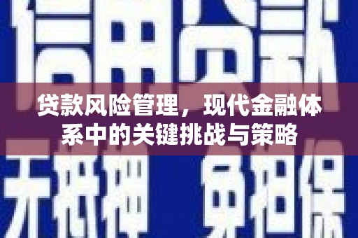 阳江贷款风险管理，现代金融体系中的关键挑战与策略