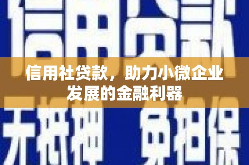 海端信用社贷款，助力小微企业发展的金融利器