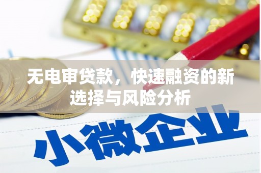 勐海无电审贷款，快速融资的新选择与风险分析